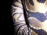 20120603_175407.jpg