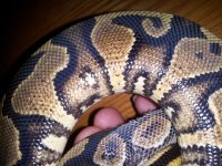 20120603_175455.jpg
