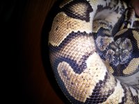20120603_175518.jpg