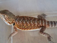 7-25-12 pics 030.jpg