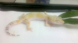 2012-05-28_15-31-04_895.jpg