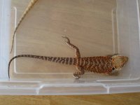 7-25-12 pics 032.jpg
