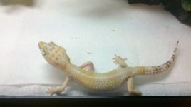 2012-05-28_11-32-59_990.jpg