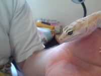 2012-05-28 15.36.53[8].jpg