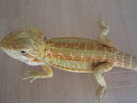 7-25-12 pics 029.jpg