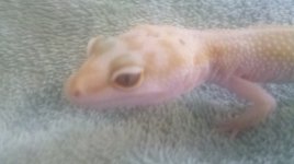 2012-05-28_14-29-37_164.jpg