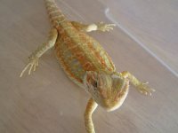 7-25-12 pics 031.jpg