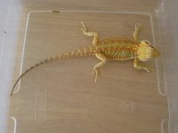 7-25-12 pics 033.jpg