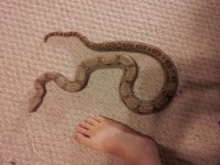 20120605_211124.jpg