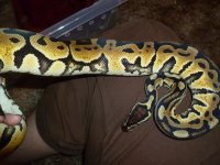 040.jpg