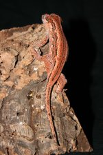 IMG_7834.JPG