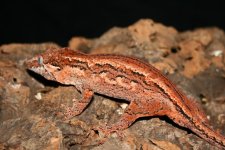 IMG_7839.JPG