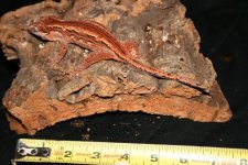 IMG_7844.JPG