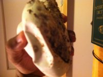 photo 2 (1).jpg