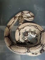 2012-08-06_17-13-22_428.jpg