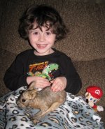 Baby cavy.jpg