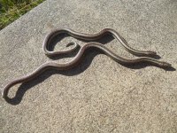 DSCN2053.jpg