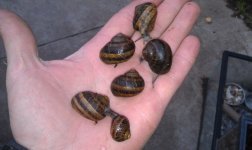 IMAG0232.jpg