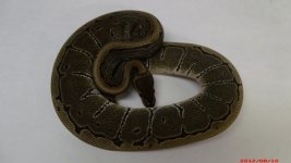 2011 Pinstripe female  3.JPG
