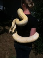 snake 3.JPG