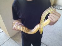 20120707_183610.jpg