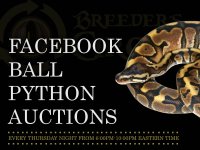 facebookauction800x600.jpg