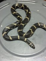 2012-08-07_16-33-29_529.jpg