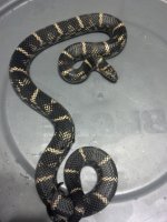 2012-08-07_16-31-44_249.jpg