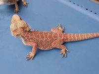 20120702_193240.jpg