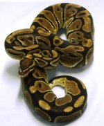 GEDC0392.JPG