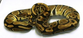 GEDC0386.jpg