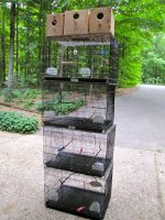 Bird Cages_061212.jpg