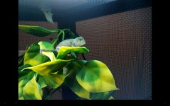 Screenshot_2012-09-06-01-13-27.jpg