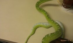IMAG0546.jpg