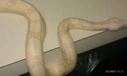 IMAG0575.jpg