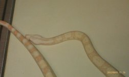 IMAG0566.jpg