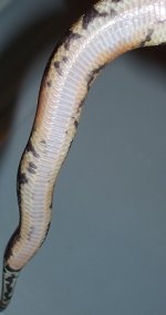 600976.JPG