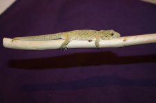 IMG_9861.jpg