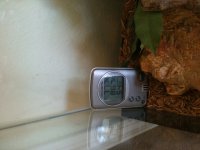 IMG_0745.jpg