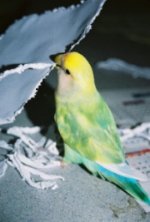 FH000029_edited.jpg