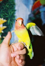 FH000014_edited.jpg
