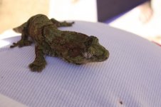 IMG_9935.jpg