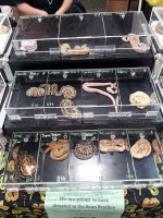 20120812_145031.jpg