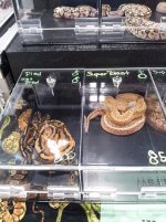 20120812_145043.jpg