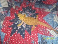 100_0340.jpg