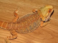 IMG_6055.jpg