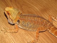 IMG_6057.jpg