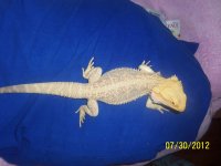 100_0363.jpg