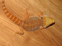 IMG_6054.jpg