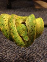 IMG_0225.jpg